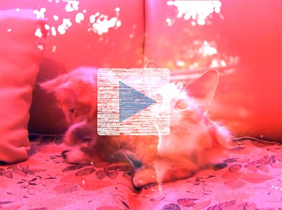 After Effects cats thumbnail